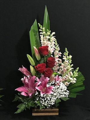 Image chosen by user