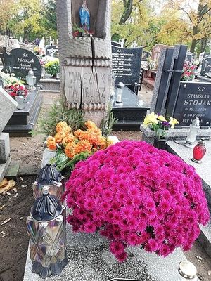 Obrazek wybrany przez użytkownika
