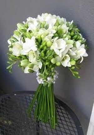 Image chosen by user