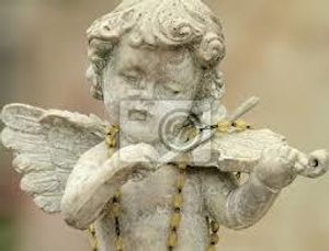 Image chosen by user