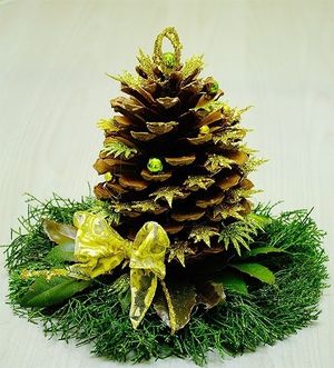 Image chosen by user