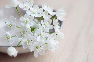 Image chosen by user