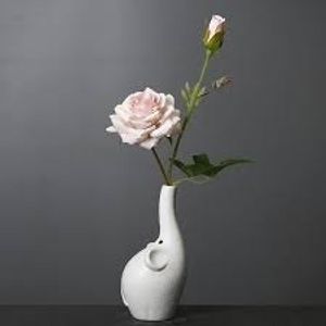 Image chosen by user
