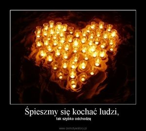 Image chosen by user