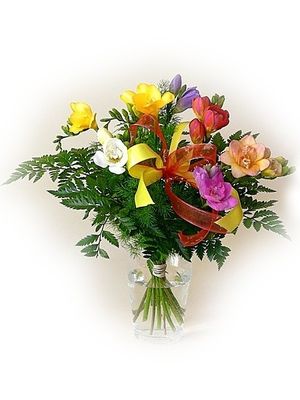 Image chosen by user
