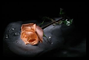 Image chosen by user
