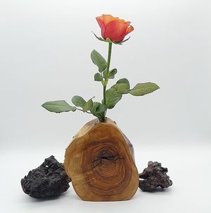 Image chosen by user