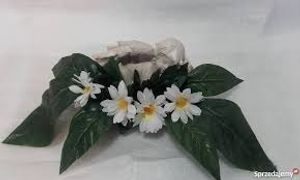 Image chosen by user
