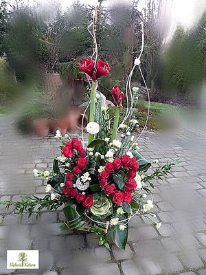 Image chosen by user