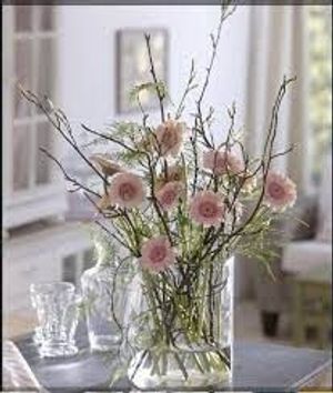 Image chosen by user