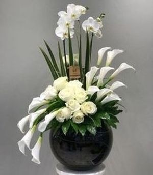 Image chosen by user