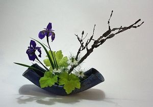 Image chosen by user