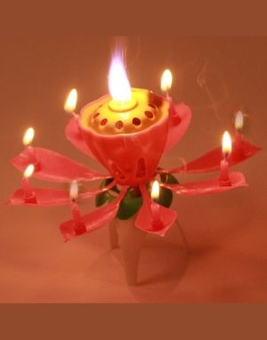 Image chosen by user