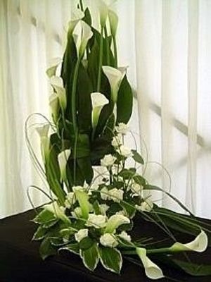 Image chosen by user