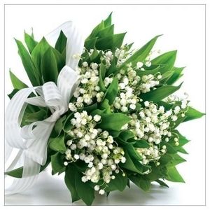 Image chosen by user