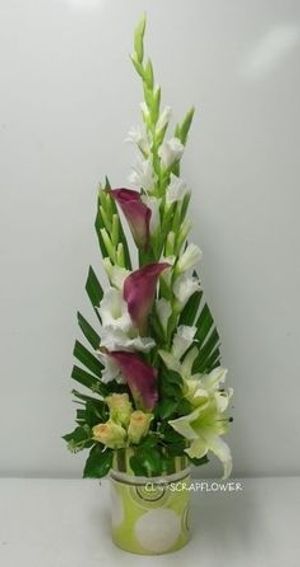 Image chosen by user