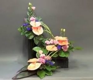 Image chosen by user
