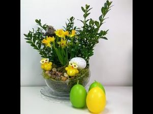 Image chosen by user
