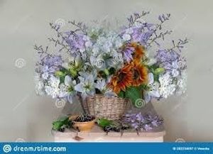 Image chosen by user