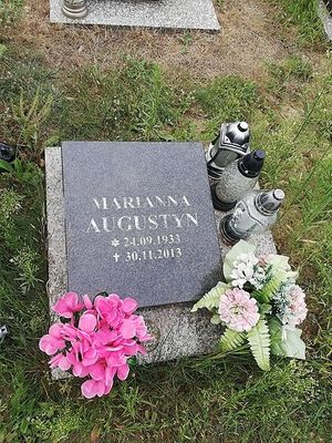 Obrazek wybrany przez użytkownika