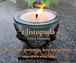 Obrazek wybrany przez użytkownika