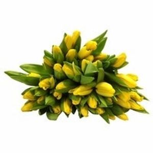 Image chosen by user