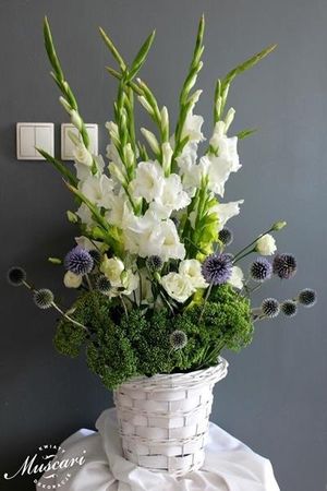 Image chosen by user
