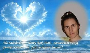 Obrazek wybrany przez użytkownika
