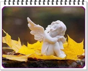 Image chosen by user