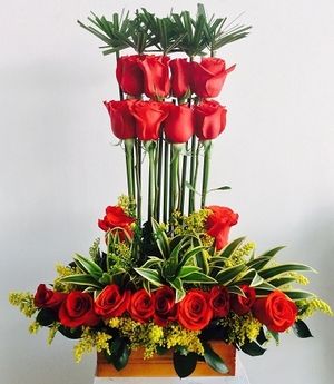 Image chosen by user