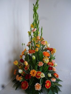 Image chosen by user