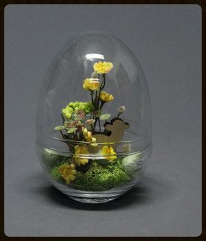 Image chosen by user