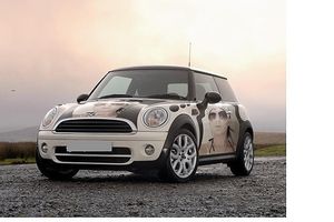 Image chosen by user