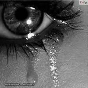 Image chosen by user