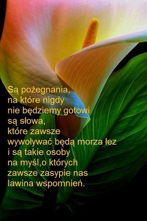 Obrazek wybrany przez użytkownika