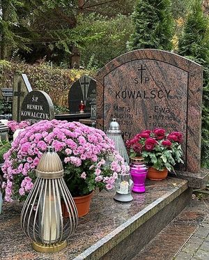 Obrazek wybrany przez użytkownika