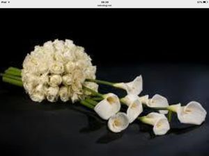 Image chosen by user