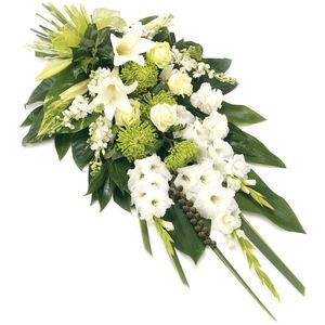 Image chosen by user