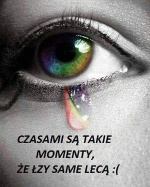 Obrazek wybrany przez użytkownika