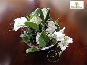 Image chosen by user