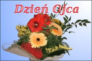 Obrazek wybrany przez użytkownika