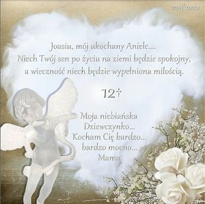 Image chosen by user