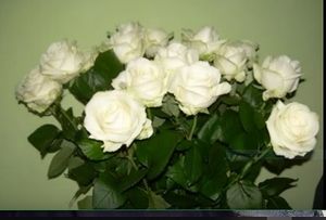 Image chosen by user