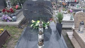 Obrazek wybrany przez użytkownika