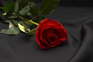 Image chosen by user