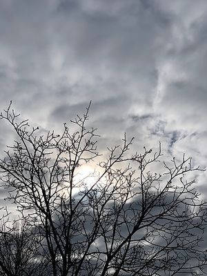 Image chosen by user