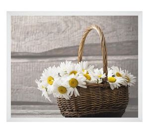 Image chosen by user
