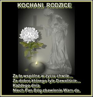 Image chosen by user