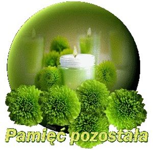 Image chosen by user