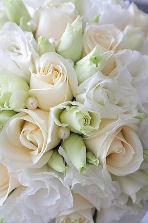 Image chosen by user